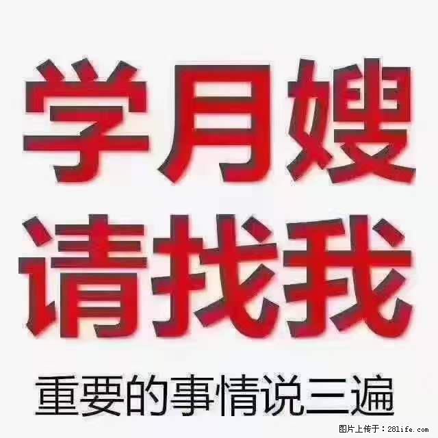 为什么要学习月嫂,育婴师? - 新手上路 - 揭阳生活社区 - 揭阳28生活网 jy.28life.com