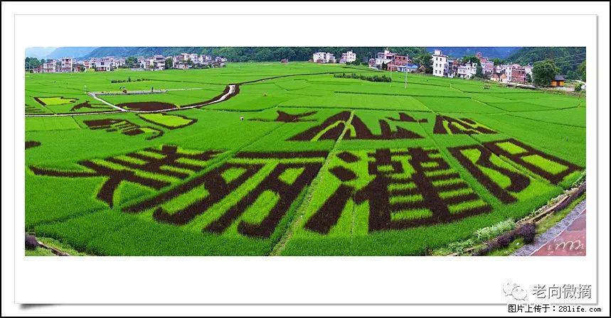 【春天，广西桂林灌阳县向您发出邀请！】开篇 - 游山玩水 - 揭阳生活社区 - 揭阳28生活网 jy.28life.com