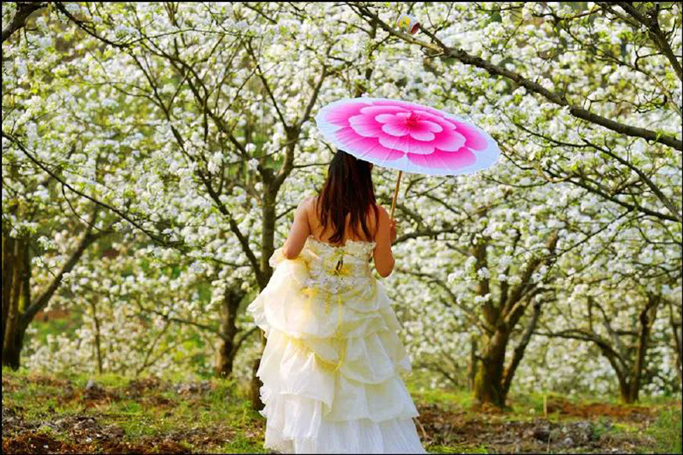 【春天，广西桂林灌阳县向您发出邀请！】我们在灌阳看梨花 - 游山玩水 - 揭阳生活社区 - 揭阳28生活网 jy.28life.com