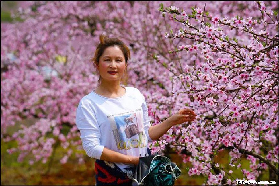【春天,广西桂林灌阳县向您发出邀请!】官庄村有个醉美的桃花园 - 游山玩水 - 揭阳生活社区 - 揭阳28生活网 jy.28life.com