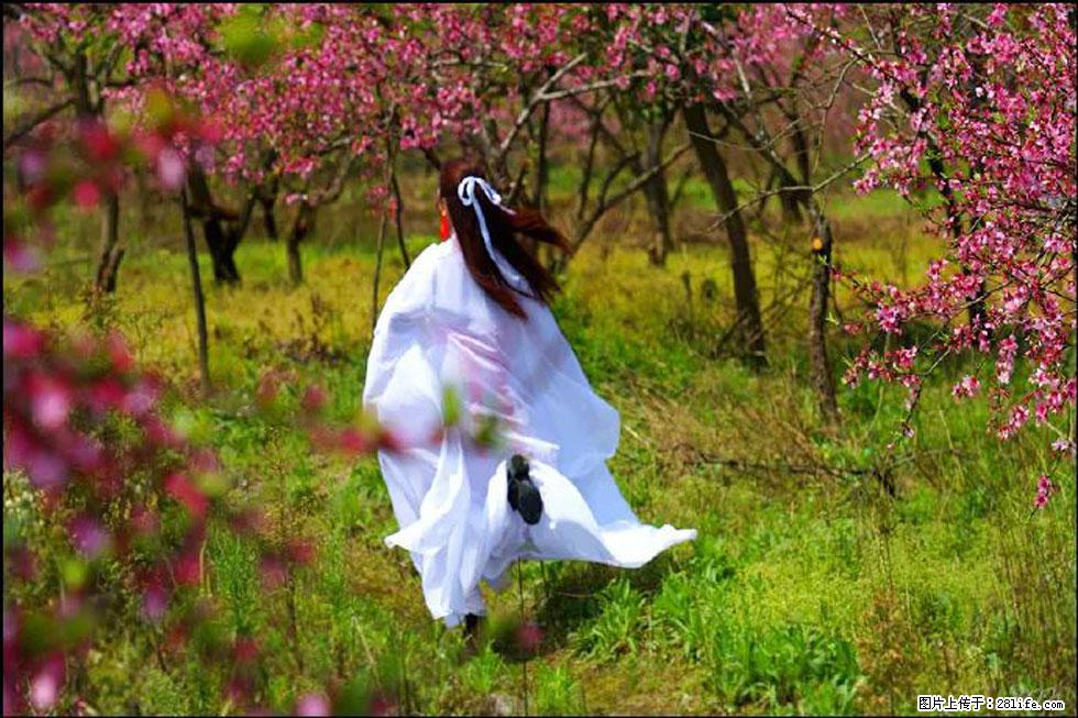 【春天,广西桂林灌阳县向您发出邀请!】官庄村有个醉美的桃花园 - 游山玩水 - 揭阳生活社区 - 揭阳28生活网 jy.28life.com