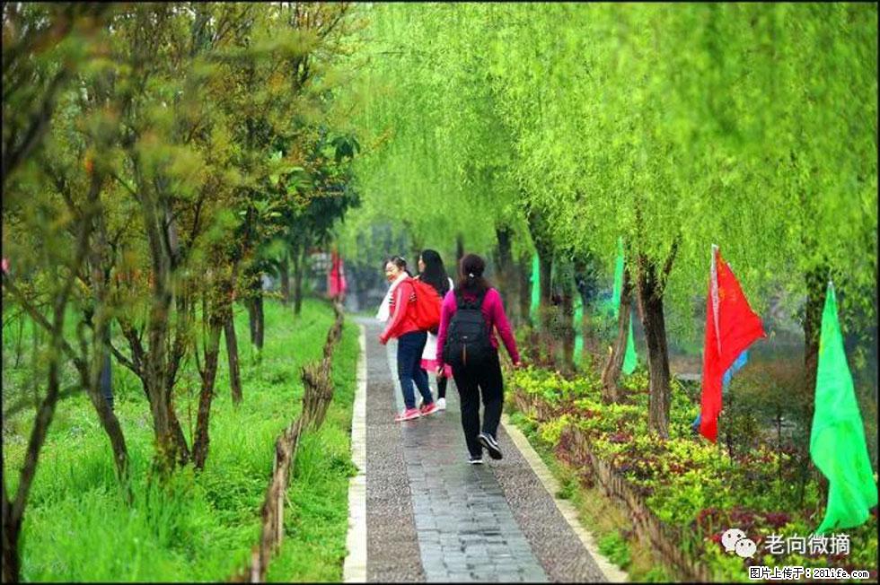 【春天，广西桂林灌阳县向您发出邀请！】江口老街又逢春 - 游山玩水 - 揭阳生活社区 - 揭阳28生活网 jy.28life.com