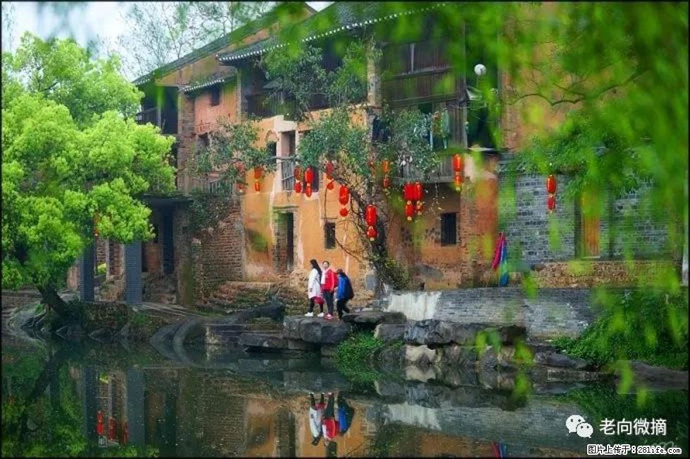 【春天，广西桂林灌阳县向您发出邀请！】江口老街又逢春 - 游山玩水 - 揭阳生活社区 - 揭阳28生活网 jy.28life.com