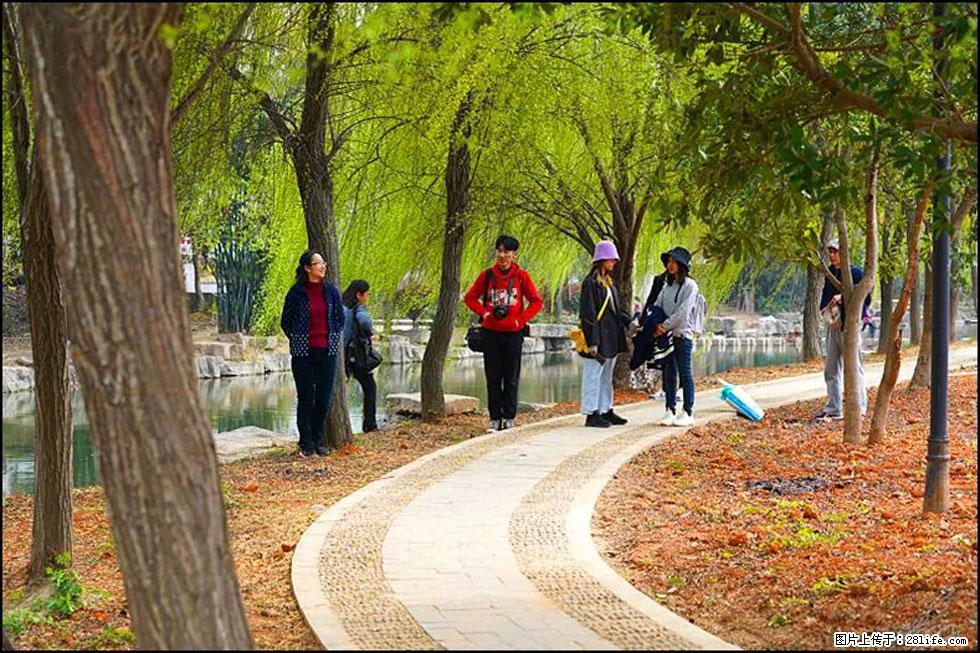 【春天，广西桂林灌阳县向您发出邀请！】江口老街又逢春 - 游山玩水 - 揭阳生活社区 - 揭阳28生活网 jy.28life.com