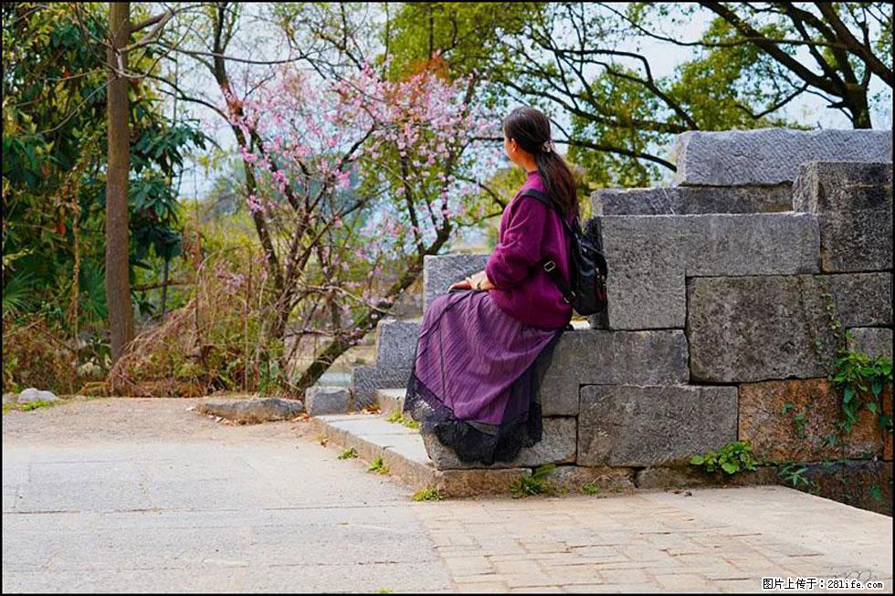 【春天，广西桂林灌阳县向您发出邀请！】江口老街又逢春 - 游山玩水 - 揭阳生活社区 - 揭阳28生活网 jy.28life.com