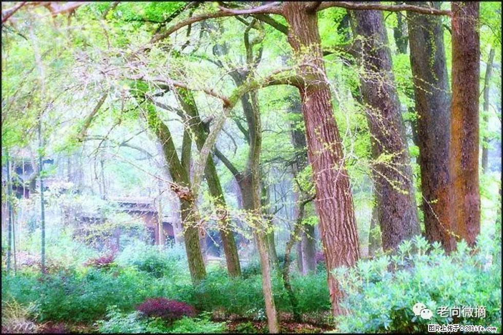 【春天，广西桂林灌阳县向您发出邀请！】在小龙村与春天约会 - 游山玩水 - 揭阳生活社区 - 揭阳28生活网 jy.28life.com