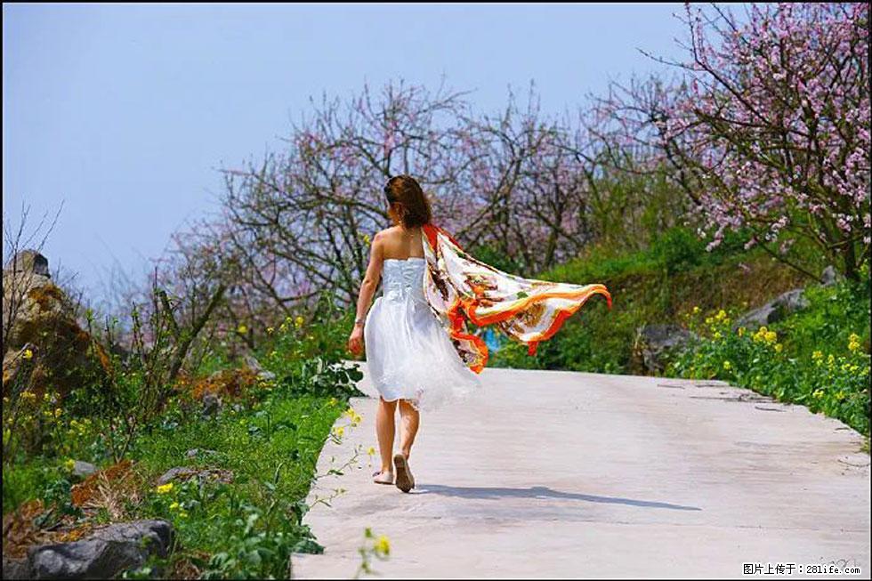 【春天，广西桂林灌阳县向您发出邀请！】望月岭上桃花开 - 游山玩水 - 揭阳生活社区 - 揭阳28生活网 jy.28life.com