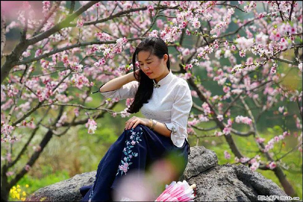 【春天，广西桂林灌阳县向您发出邀请！】望月岭上桃花开 - 游山玩水 - 揭阳生活社区 - 揭阳28生活网 jy.28life.com