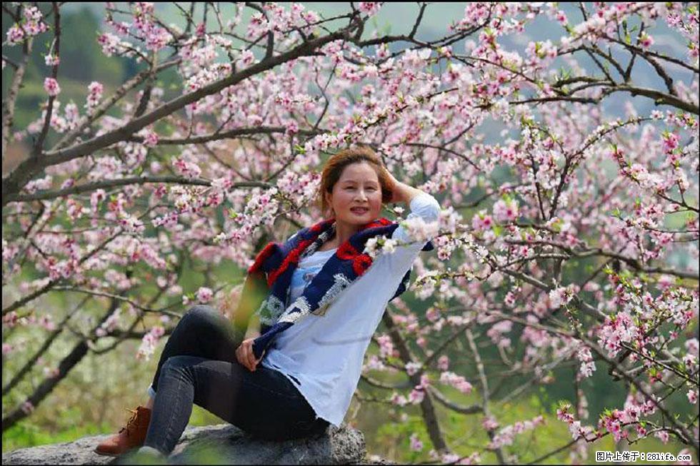 【春天，广西桂林灌阳县向您发出邀请！】望月岭上桃花开 - 游山玩水 - 揭阳生活社区 - 揭阳28生活网 jy.28life.com