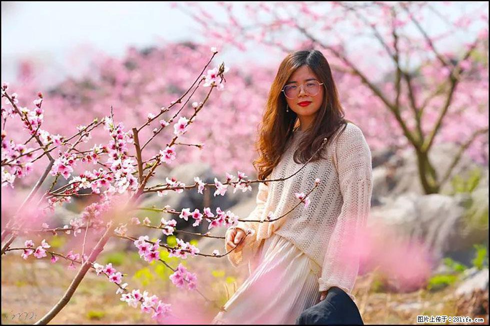 【春天，广西桂林灌阳县向您发出邀请！】望月岭上桃花开 - 游山玩水 - 揭阳生活社区 - 揭阳28生活网 jy.28life.com