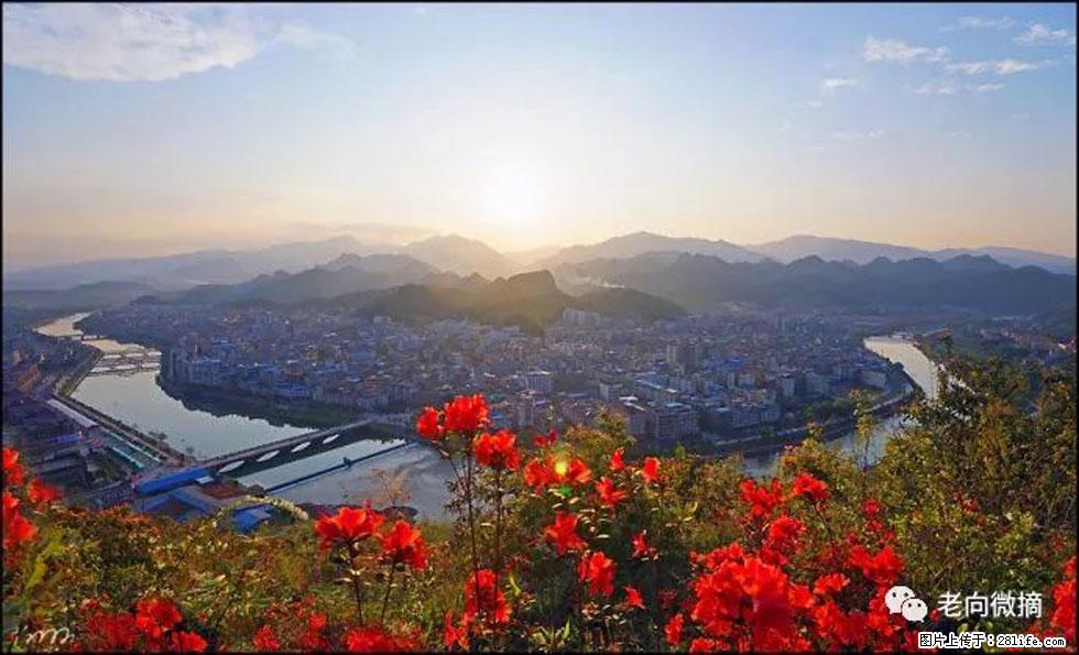 【春天，广西桂林灌阳县向您发出邀请！】登麒麟山，相约映山红 - 游山玩水 - 揭阳生活社区 - 揭阳28生活网 jy.28life.com