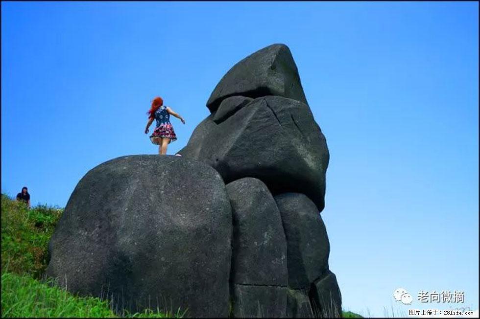 【春天，广西桂林灌阳县向您发出邀请！】宝盖山上映山红 - 游山玩水 - 揭阳生活社区 - 揭阳28生活网 jy.28life.com