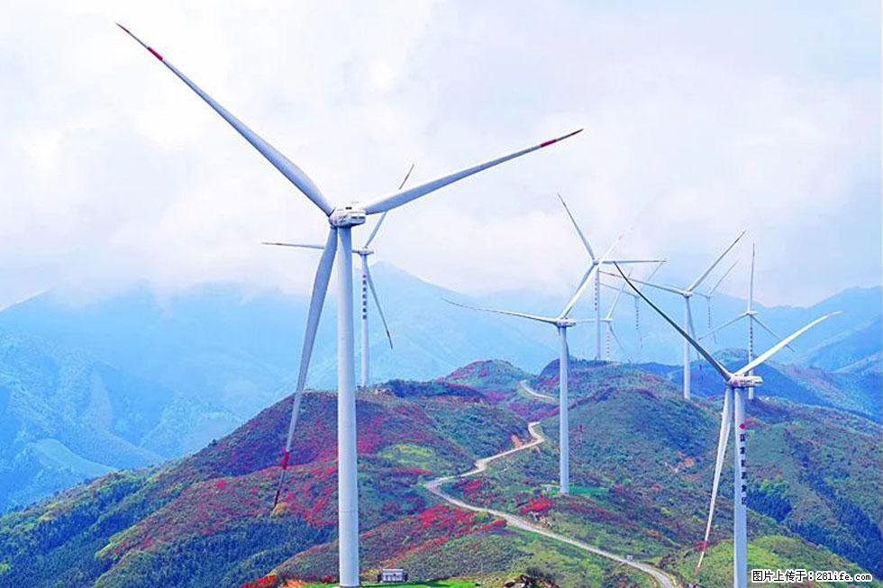 【春天，广西桂林灌阳县向您发出邀请！】春木界上映山红 - 游山玩水 - 揭阳生活社区 - 揭阳28生活网 jy.28life.com