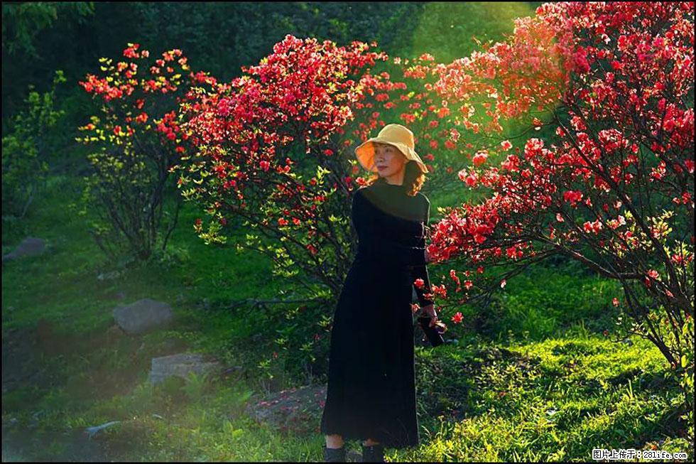 【春天，广西桂林灌阳县向您发出邀请！】春木界上映山红 - 游山玩水 - 揭阳生活社区 - 揭阳28生活网 jy.28life.com