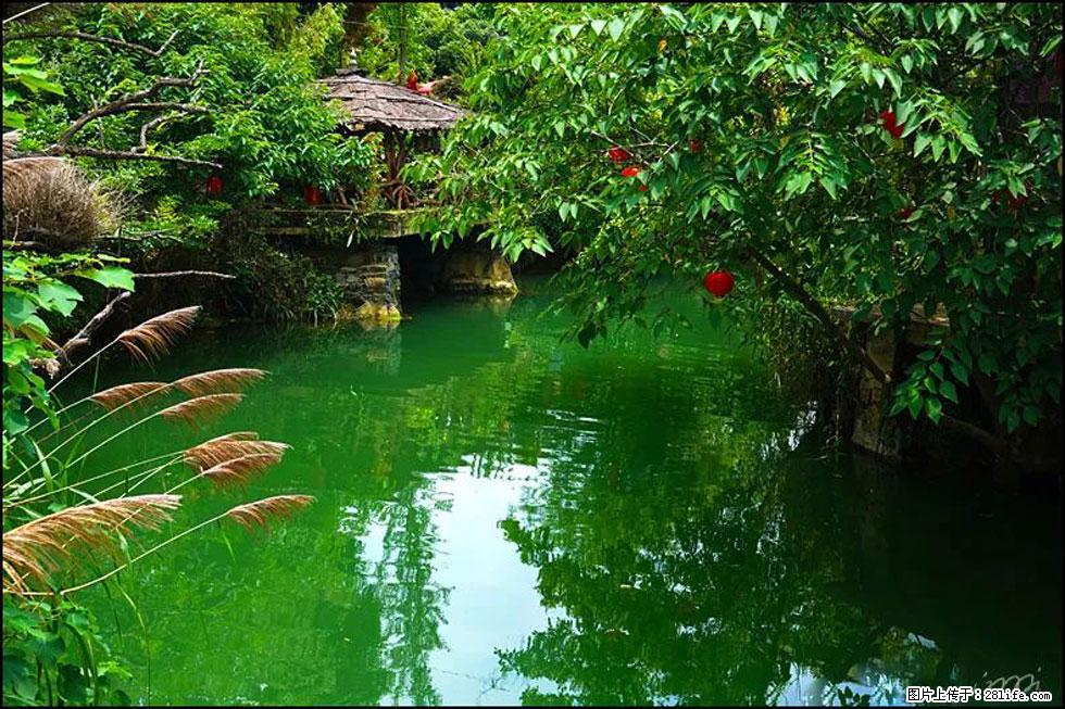 【春天,广西桂林灌阳县向您发出邀请!】如梦似幻莲溪庐 - 游山玩水 - 揭阳生活社区 - 揭阳28生活网 jy.28life.com