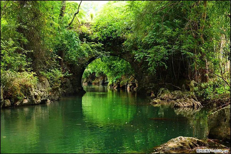 【春天,广西桂林灌阳县向您发出邀请!】如梦似幻莲溪庐 - 游山玩水 - 揭阳生活社区 - 揭阳28生活网 jy.28life.com