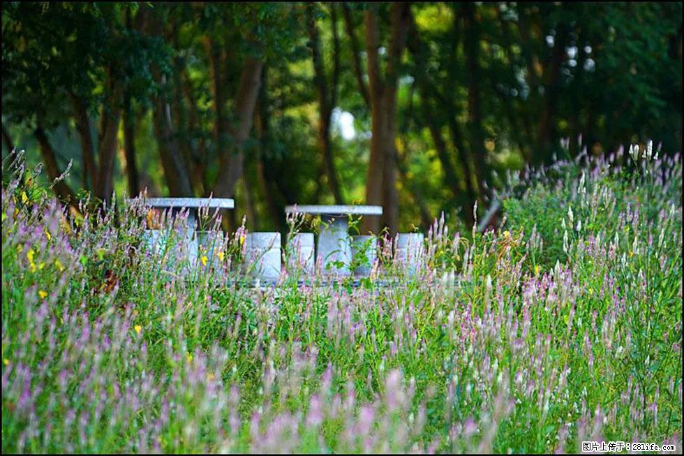 【春天,广西桂林灌阳县向您发出邀请!】熊家寨湿地公园 - 游山玩水 - 揭阳生活社区 - 揭阳28生活网 jy.28life.com