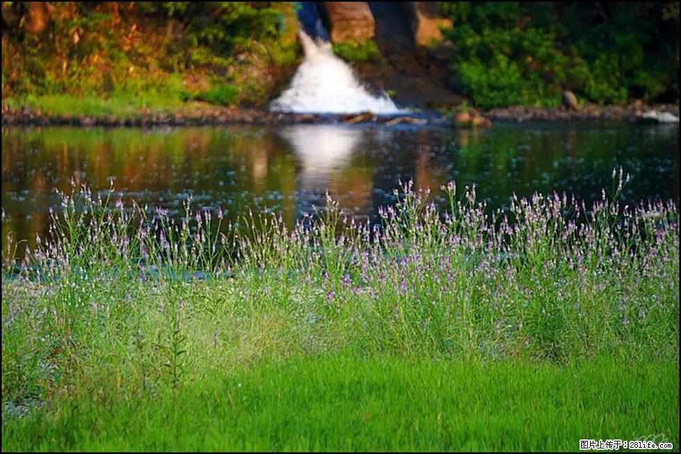 【春天,广西桂林灌阳县向您发出邀请!】熊家寨湿地公园 - 游山玩水 - 揭阳生活社区 - 揭阳28生活网 jy.28life.com