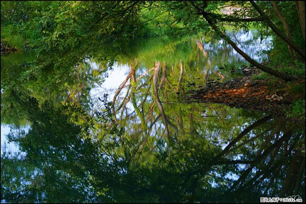 【春天,广西桂林灌阳县向您发出邀请!】熊家寨湿地公园 - 游山玩水 - 揭阳生活社区 - 揭阳28生活网 jy.28life.com