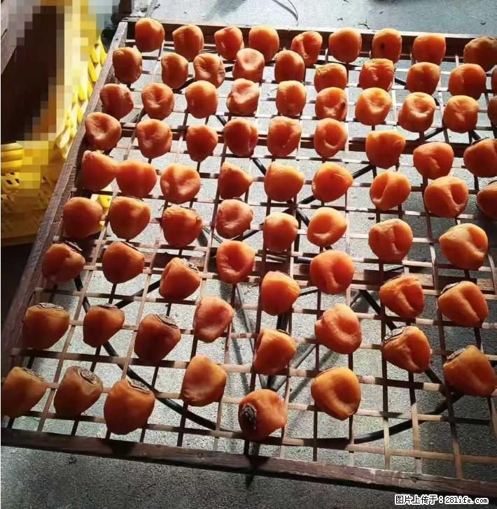 广西桂林平乐桥亭【柿饼之乡】2025年纯手工制作、无任何添加剂的第一批柿饼准备上市了，欢迎联系订购！ - 美食天地 - 揭阳生活社区 - 揭阳28生活网 jy.28life.com