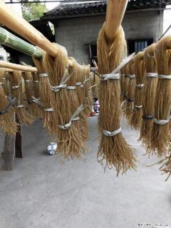 【灌阳正宗红薯粉】美女家里自己做的，干净卫生，假一赔十，价格合理，抢购电话：13737312895 - 揭阳28生活网 jy.28life.com