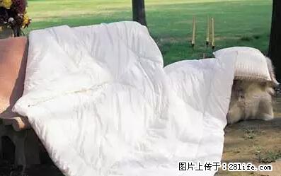 被子有异味？只要这样做，比晒太阳还强100倍！ - 家居生活 - 揭阳生活社区 - 揭阳28生活网 jy.28life.com