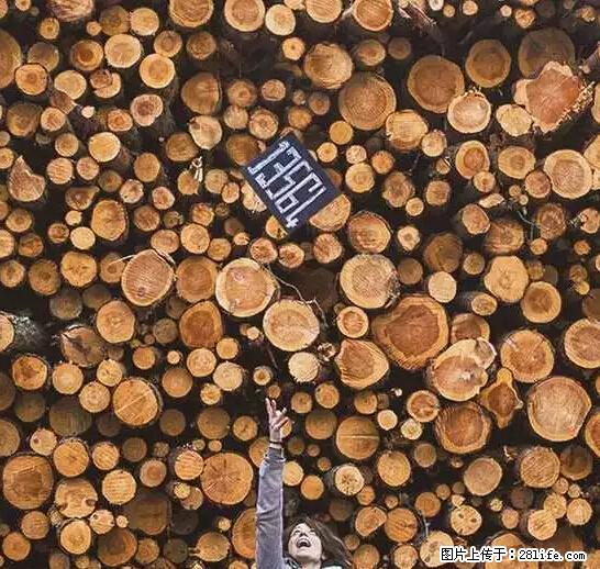 辞掉工作周游世界？现在他们在洗厕所…… - 游山玩水 - 揭阳生活社区 - 揭阳28生活网 jy.28life.com