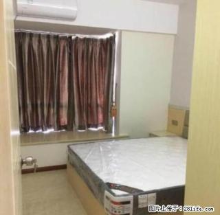 创鸿国际 2室1厅 豪华装修 好楼层 配套齐全 采光好 - 揭阳28生活网 jy.28life.com