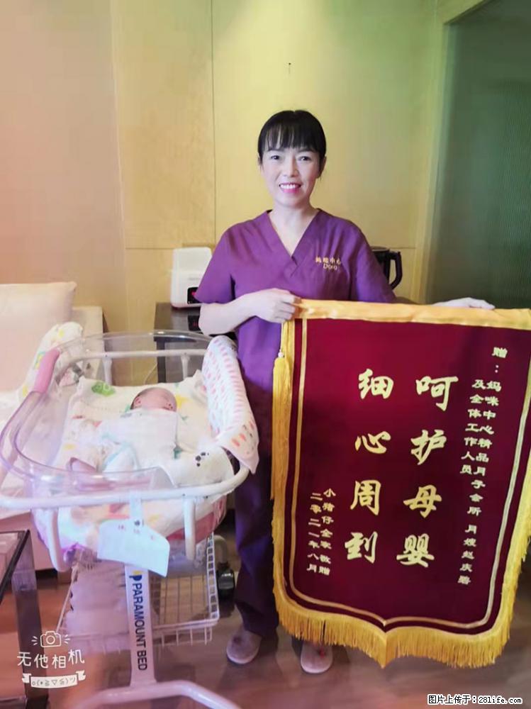 上海高端月子会所招新手月嫂，零基础带教，包吃住 - 职场交流 - 揭阳生活社区 - 揭阳28生活网 jy.28life.com