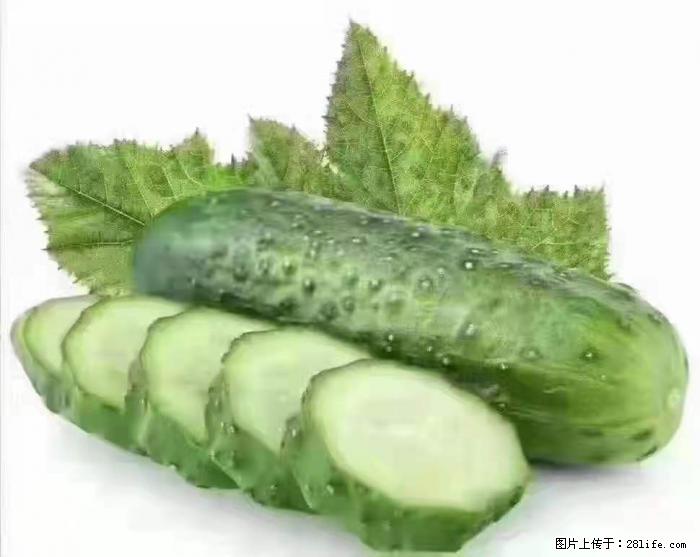 【生活小常识】吃黄瓜的好处 - 生活百科 - 揭阳生活社区 - 揭阳28生活网 jy.28life.com