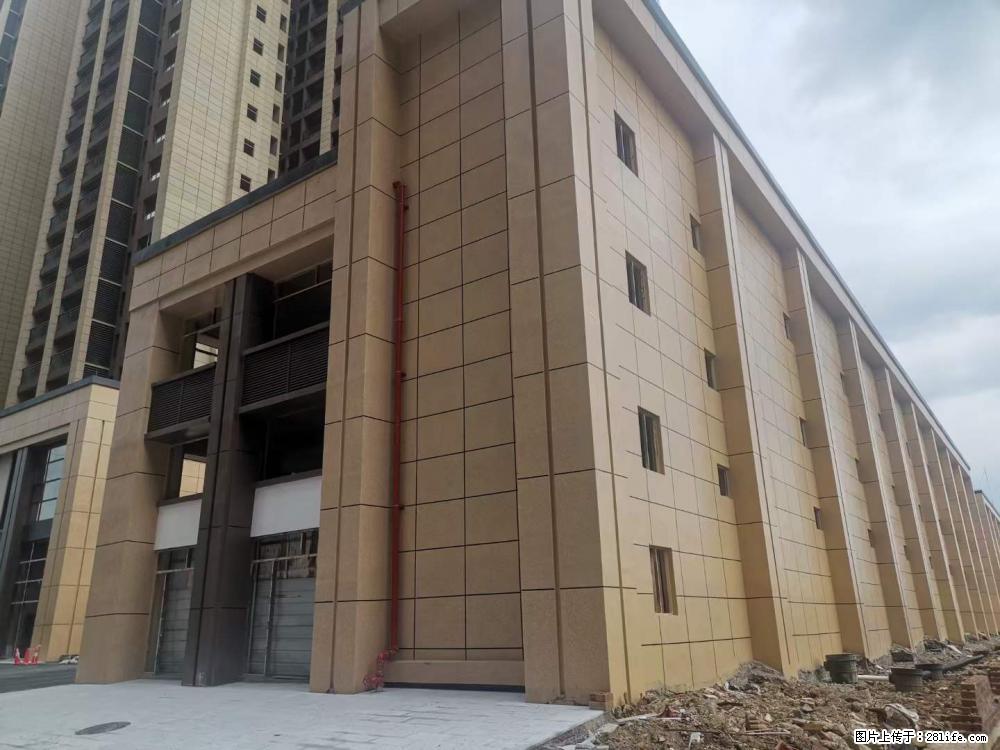 【广西三象建筑安装工程有限公司】外墙涂料工程 - 新手上路 - 揭阳生活社区 - 揭阳28生活网 jy.28life.com