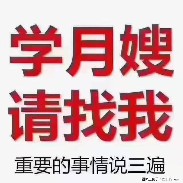 【招聘】月嫂,上海徐汇区 - 职场交流 - 揭阳生活社区 - 揭阳28生活网 jy.28life.com