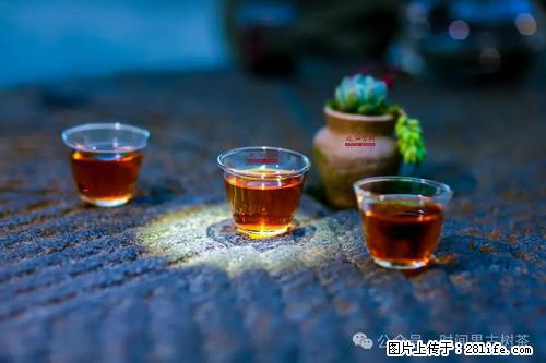 时间果百年古树2025年春红茶 - 购物交流 - 揭阳生活社区 - 揭阳28生活网 jy.28life.com