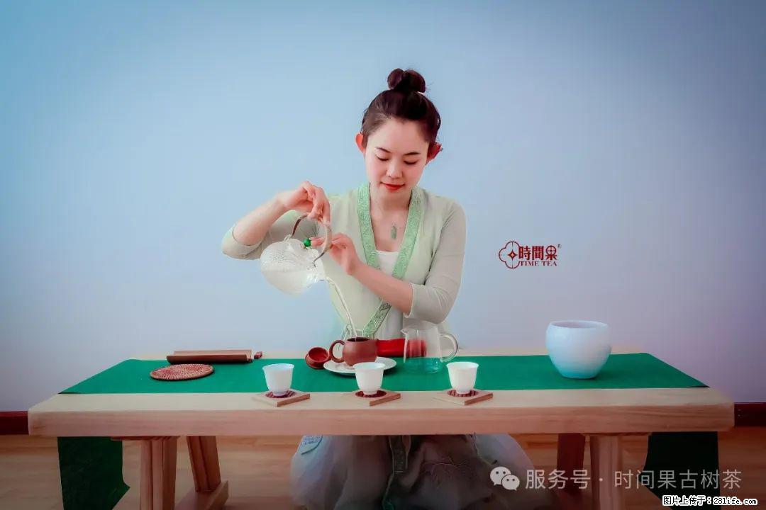 时间果百年古树龙珠普洱生茶 - 购物交流 - 揭阳生活社区 - 揭阳28生活网 jy.28life.com