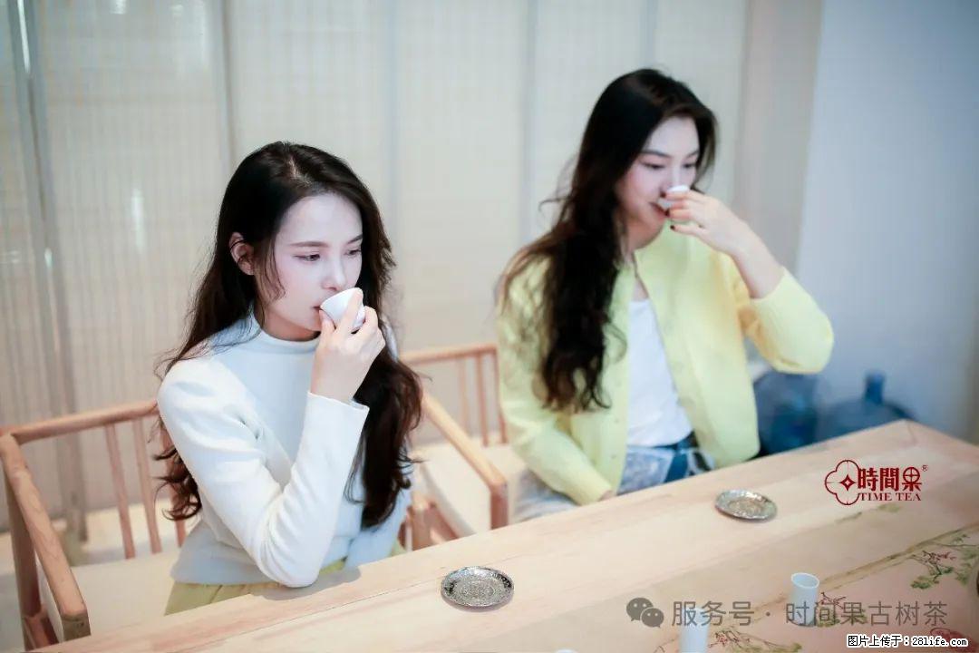 时间果百年古树龙珠普洱生茶 - 购物交流 - 揭阳生活社区 - 揭阳28生活网 jy.28life.com