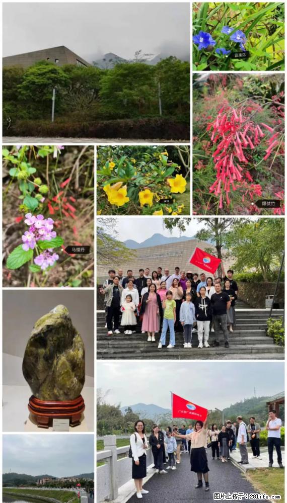 “粤灌文化 美好生活”油茶文化主题活动在广东深圳成功举办 - 揭阳生活资讯 - 揭阳28生活网 jy.28life.com