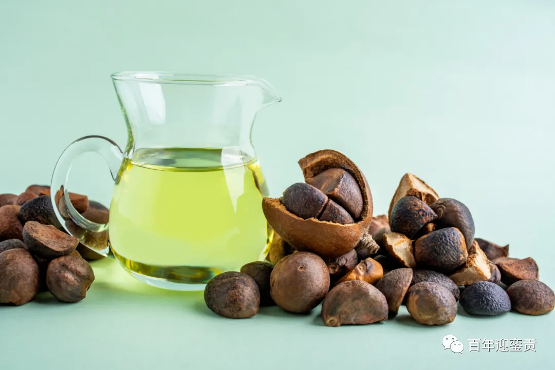 世界没有真相,只有认知,最好的食用油是中国的山茶油! - 揭阳生活资讯 - 揭阳28生活网 jy.28life.com