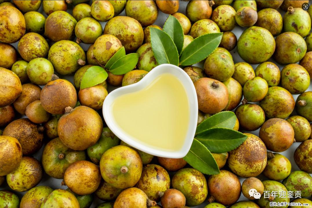 世界没有真相,只有认知,最好的食用油是中国的山茶油! - 揭阳生活资讯 - 揭阳28生活网 jy.28life.com