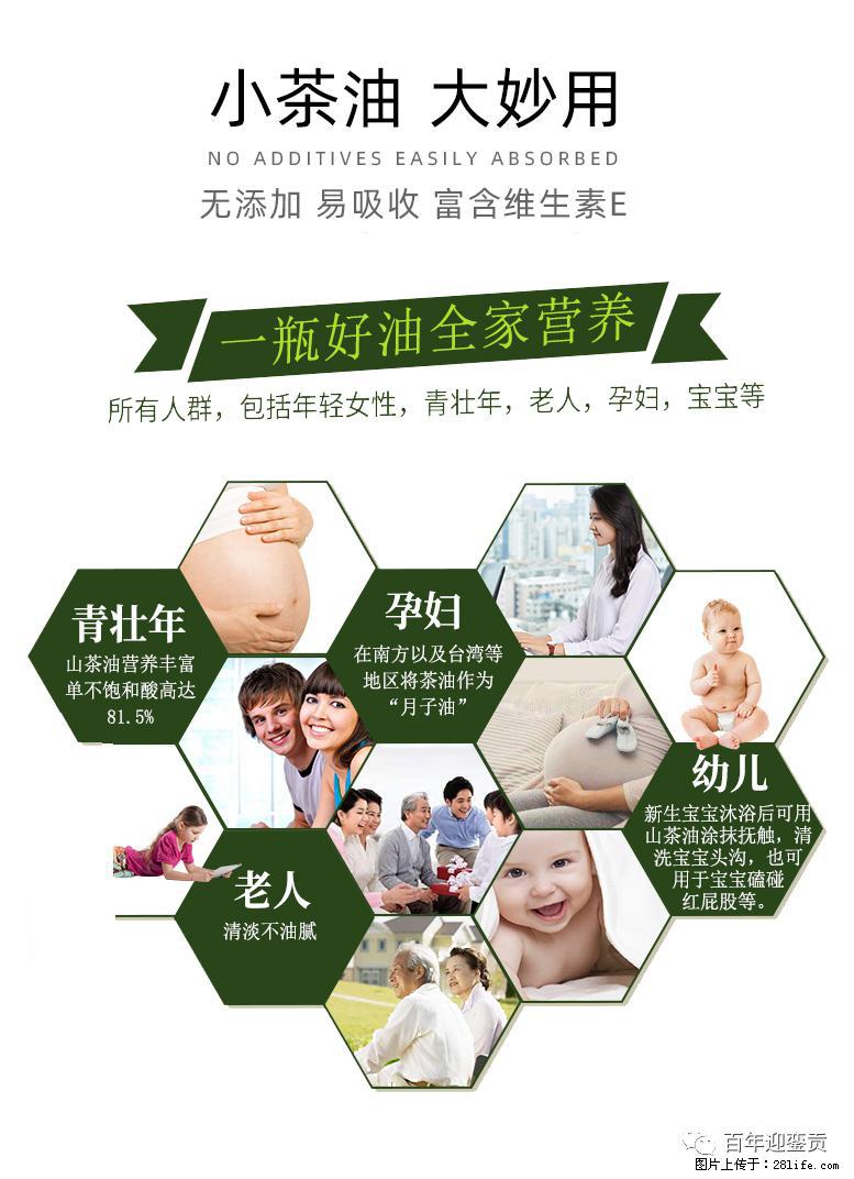 世界没有真相,只有认知,最好的食用油是中国的山茶油! - 揭阳生活资讯 - 揭阳28生活网 jy.28life.com