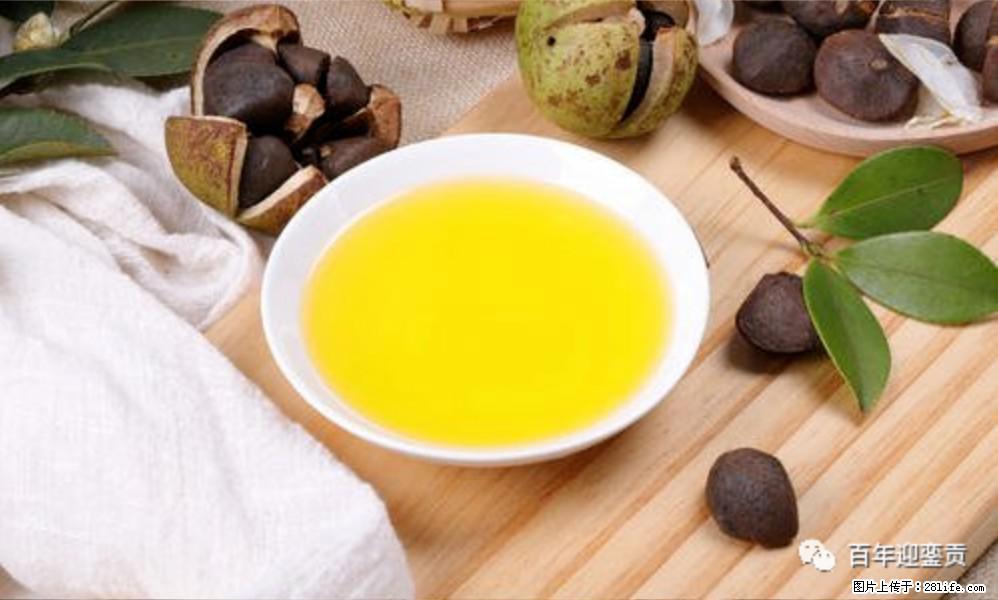 世界没有真相,只有认知,最好的食用油是中国的山茶油! - 揭阳生活资讯 - 揭阳28生活网 jy.28life.com