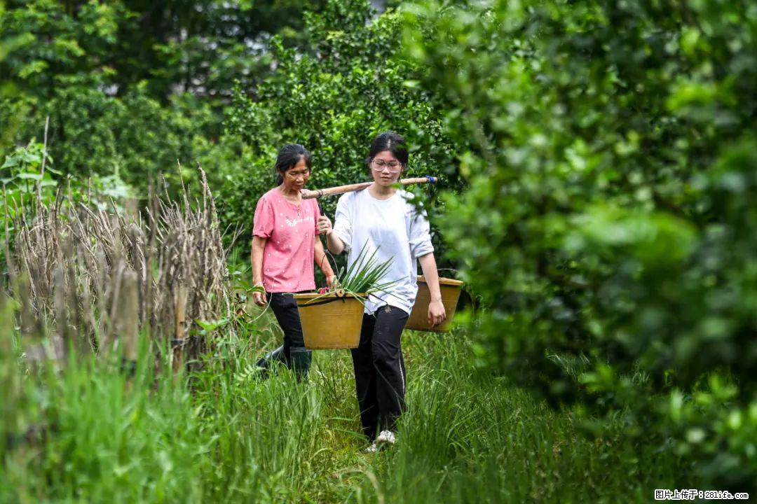 全网追的“扁担女孩”，找了一份暑假工，时薪12元 - 揭阳生活资讯 - 揭阳28生活网 jy.28life.com
