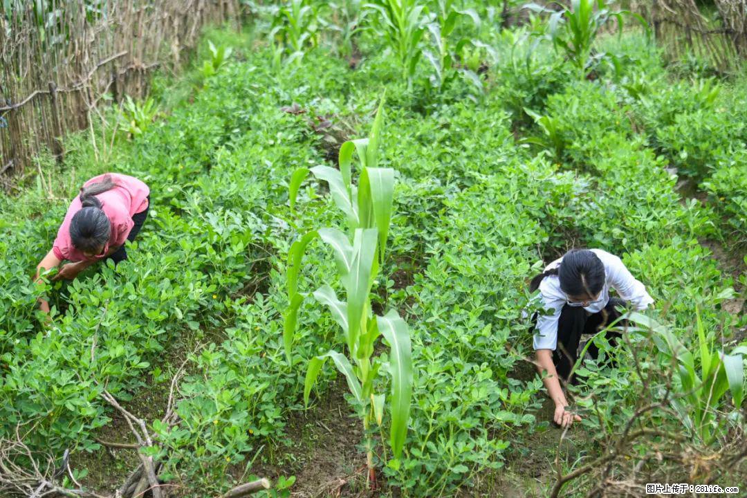 全网追的“扁担女孩”，找了一份暑假工，时薪12元 - 揭阳生活资讯 - 揭阳28生活网 jy.28life.com