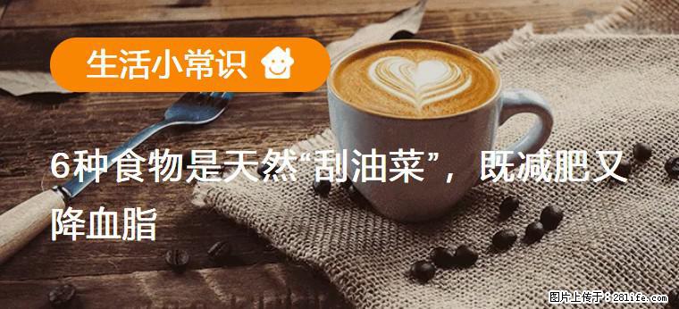 【生活小常识】6种食物是天然“刮油菜”，既减肥又降血脂 - 揭阳生活资讯 - 揭阳28生活网 jy.28life.com