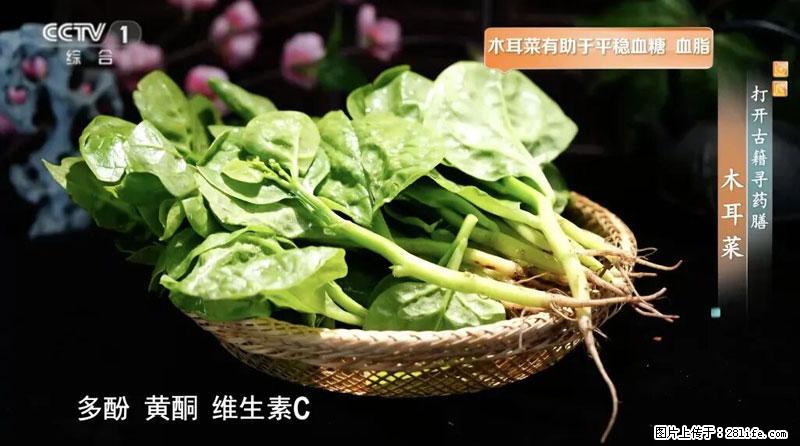 比牛奶补钙还厉害！凉血解毒、稳血糖...这菜冬天必吃，很多人却当草 - 揭阳生活资讯 - 揭阳28生活网 jy.28life.com