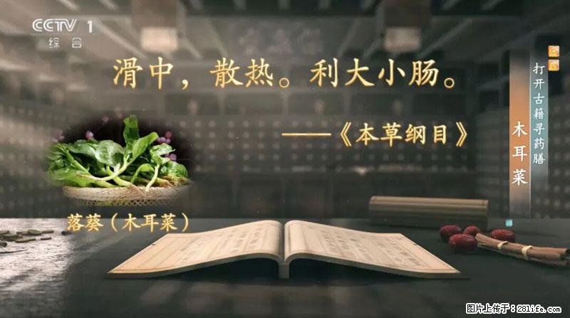 比牛奶补钙还厉害！凉血解毒、稳血糖...这菜冬天必吃，很多人却当草 - 揭阳生活资讯 - 揭阳28生活网 jy.28life.com