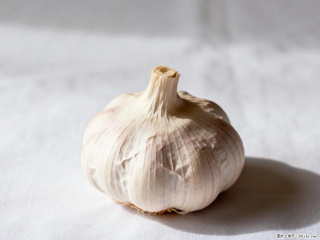 关于大蒜，除了“天然抗生素”，这4个谣言更该警惕! - 揭阳生活资讯 - 揭阳28生活网 jy.28life.com