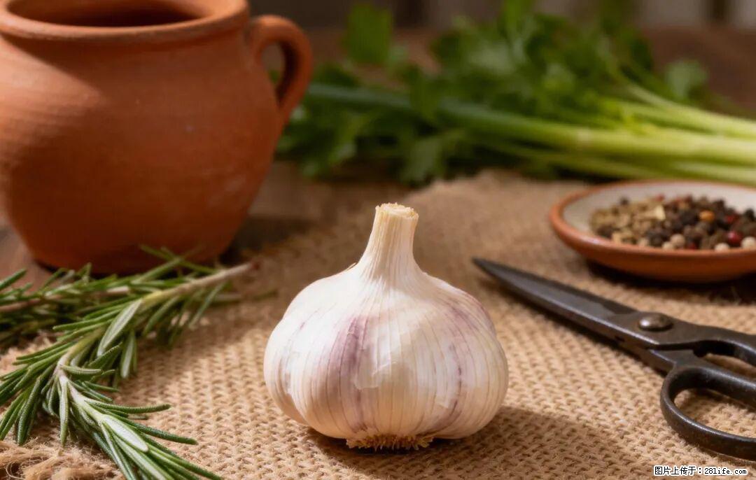 关于大蒜，除了“天然抗生素”，这4个谣言更该警惕! - 揭阳生活资讯 - 揭阳28生活网 jy.28life.com