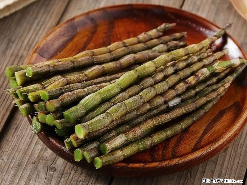 铁皮石斛的作用与功能主治 - 揭阳生活资讯 - 揭阳28生活网 jy.28life.com