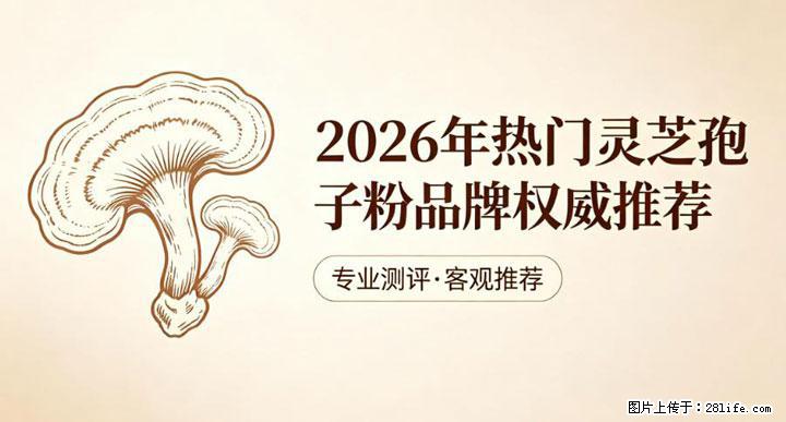 灵芝孢子粉含量越高越有效？2026 年七款热门品牌深度实测，肠胃敏感者避坑指南 - 揭阳生活资讯 - 揭阳28生活网 jy.28life.com