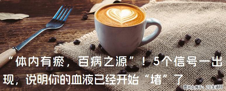 “体内有瘀,百病之源”!5个信号一出现,说明你的血液已经开始“堵”了 - 揭阳生活资讯 - 揭阳28生活网 jy.28life.com